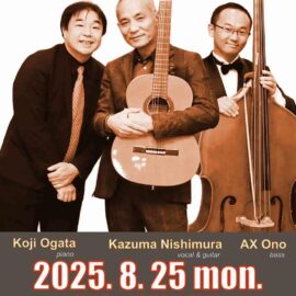 8.25夜